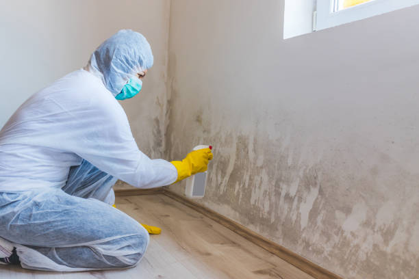 Best Industrial Mold Remediation  in Lovell, WY