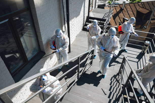 Best Mold Remediation for Vacation Homes  in Lovell, WY