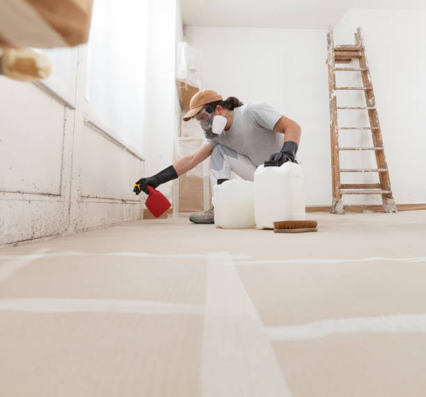 Best Attic Mold Removal  in Lovell, WY
